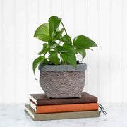 Canvas Planters- Made from recycled feed bags