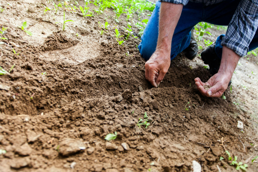 Embracing the Organic Gardener Lifestyle: A Journey of Growth and Sustainability]