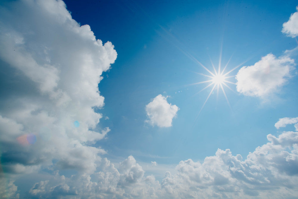 Sunny Outlook for Sustainable Energy