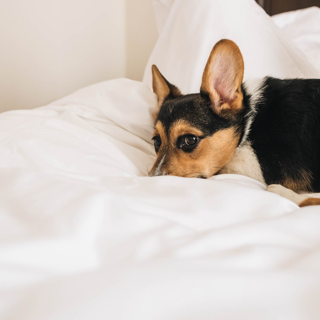 Heavenly Duvet Cover