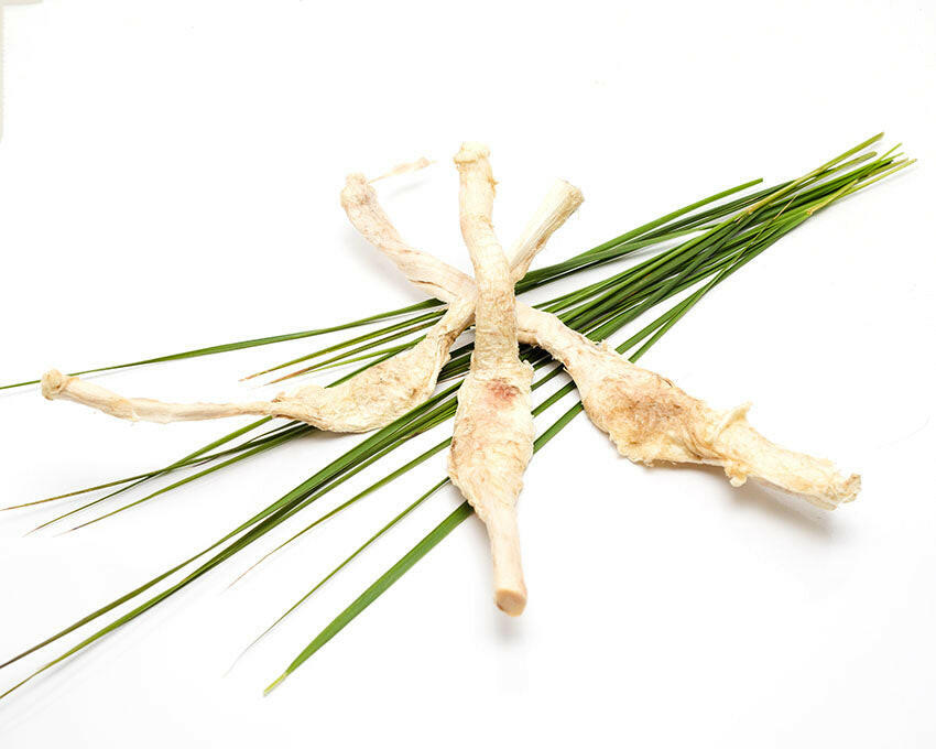 Freeze-Dried Bison Patellar Tendon