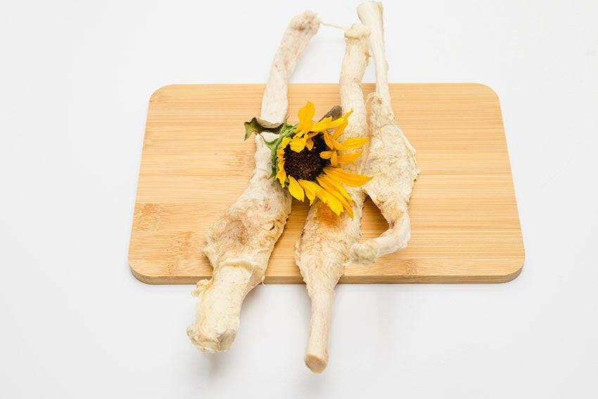 Freeze-Dried Bison Patellar Tendon