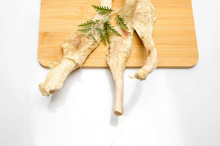 Freeze-Dried Bison Patellar Tendon