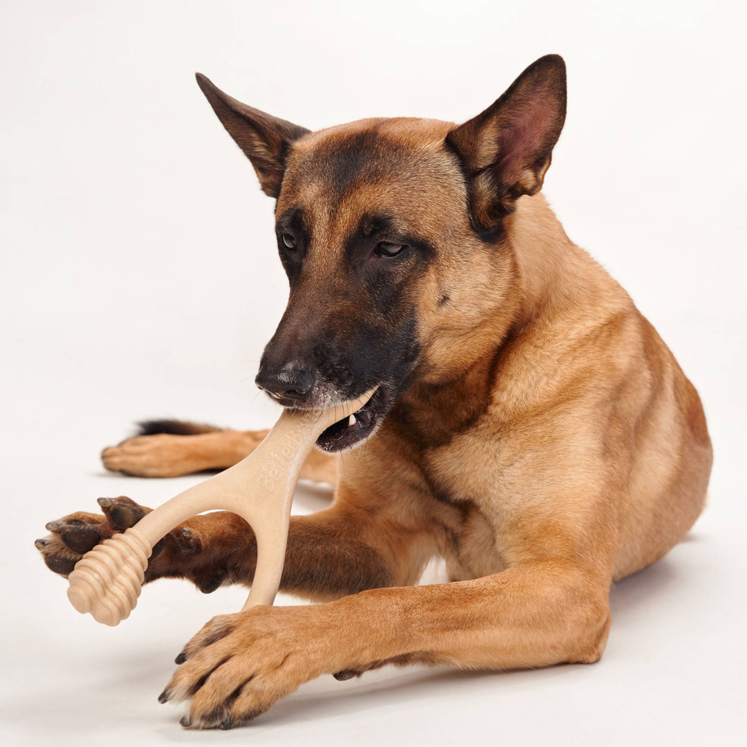 BetterBone MEDIUM Durability CHEW TOY
