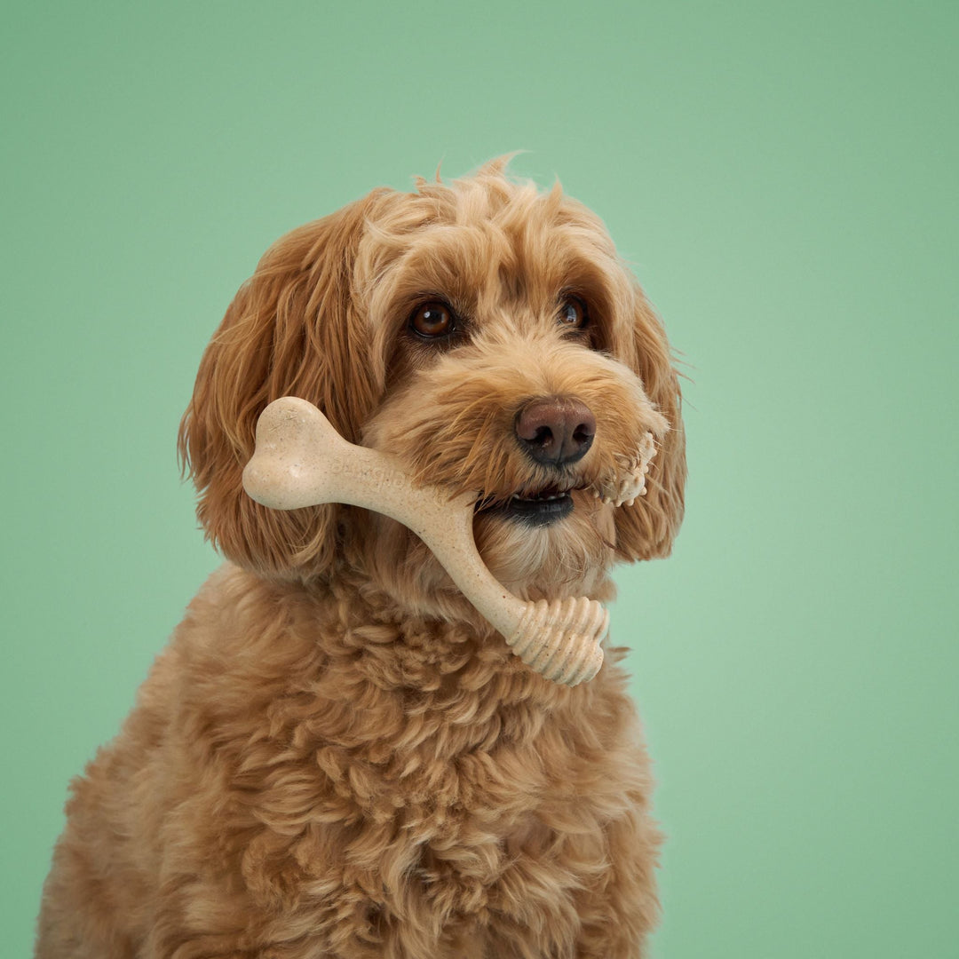 BetterBone MEDIUM Durability CHEW TOY