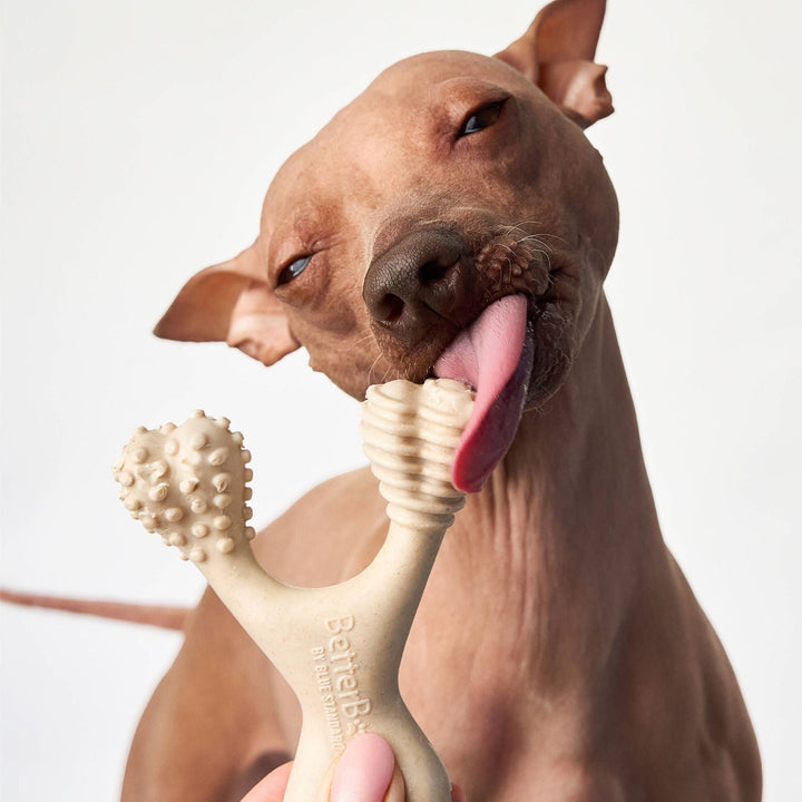 BetterBone MEDIUM Durability CHEW TOY
