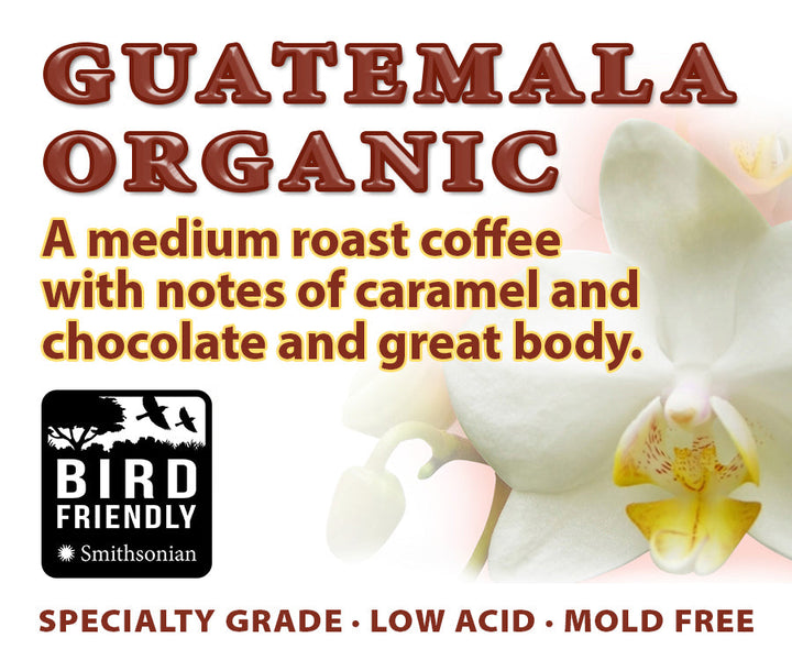 Good Morning & Guatemala (2-Pack)