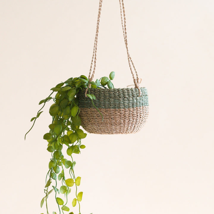 Hanging Planter