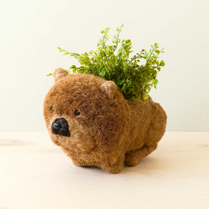 Chow Chow Planter