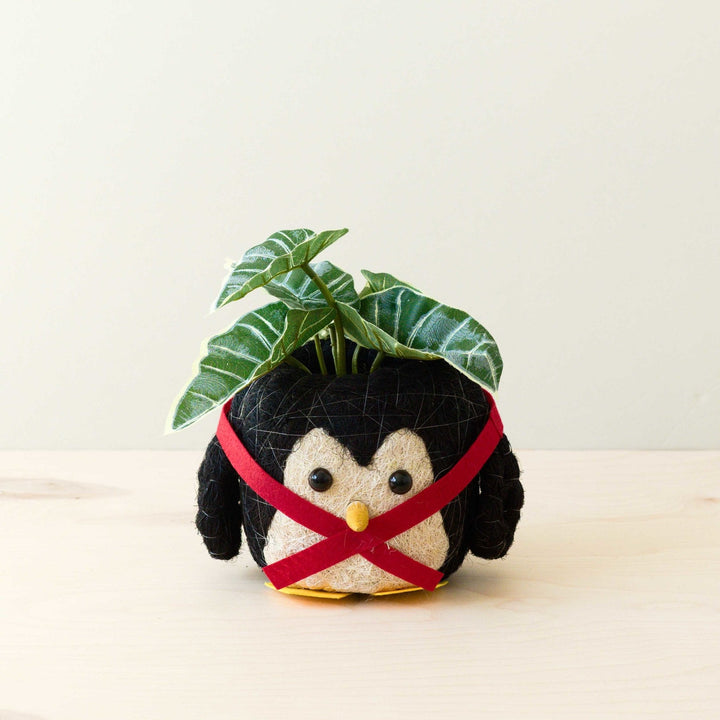 Penguin Planter