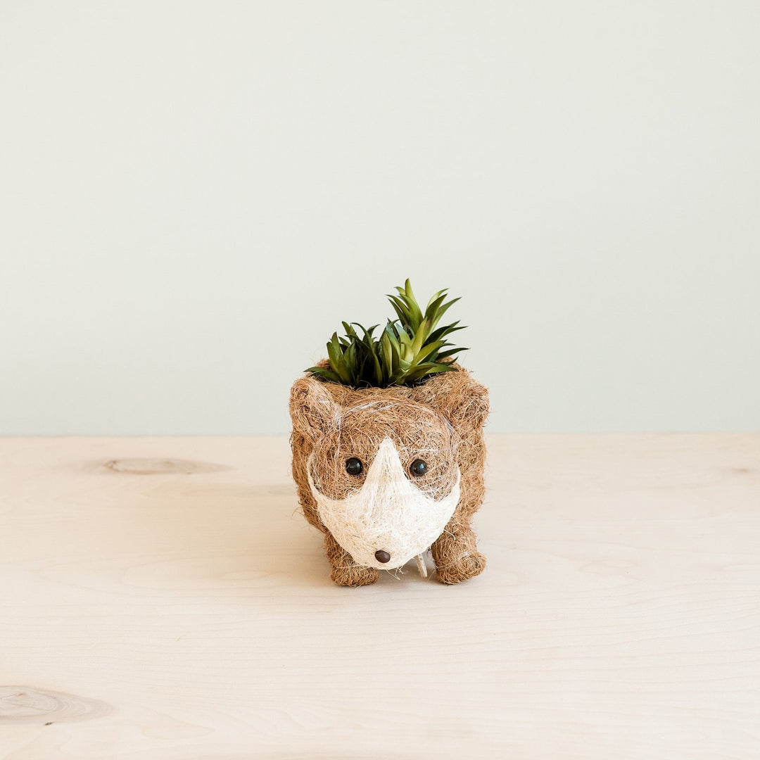 Baby Corgi Succulent Pot