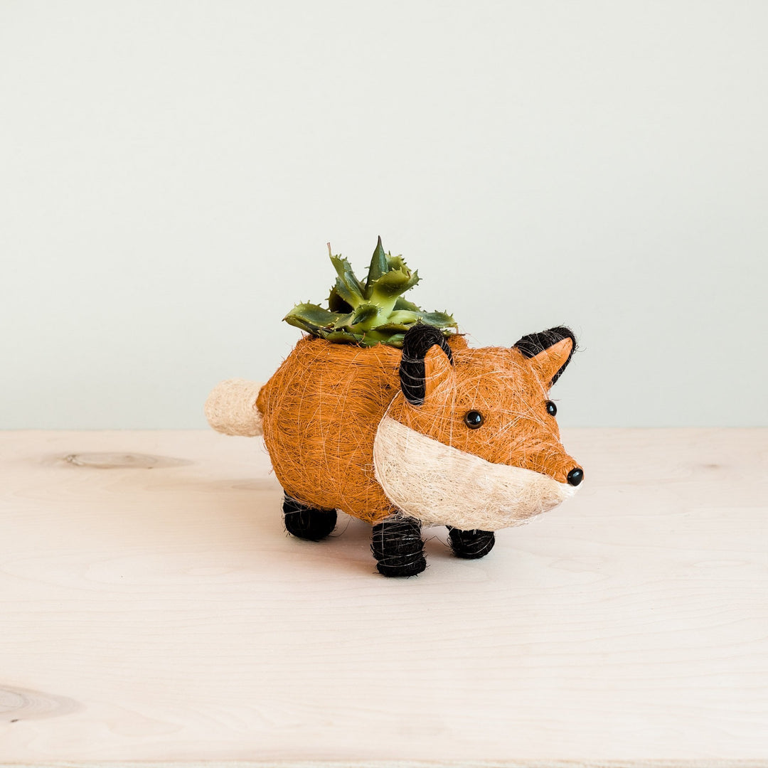 Baby Fox Planter