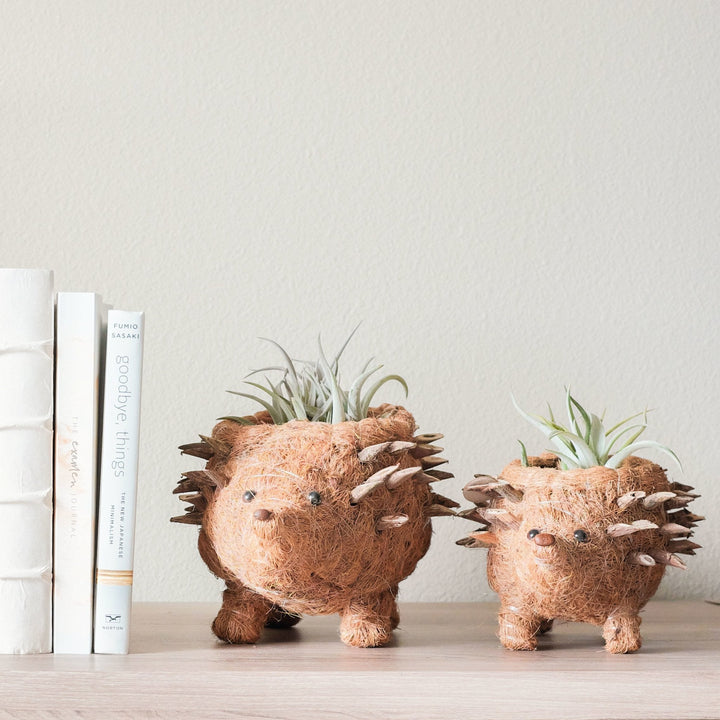 Baby Hedgehog Plant Pot