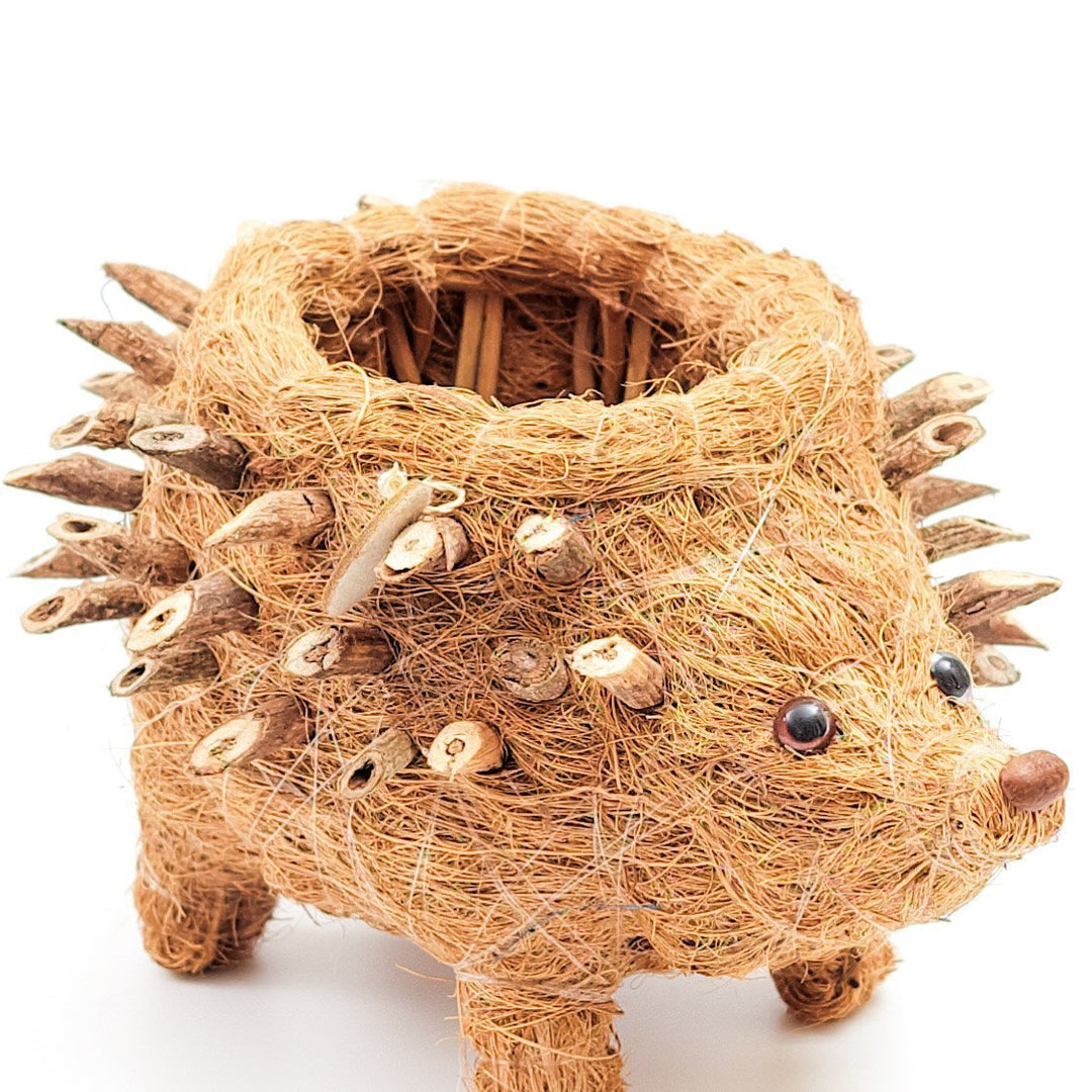 Baby Hedgehog Plant Pot