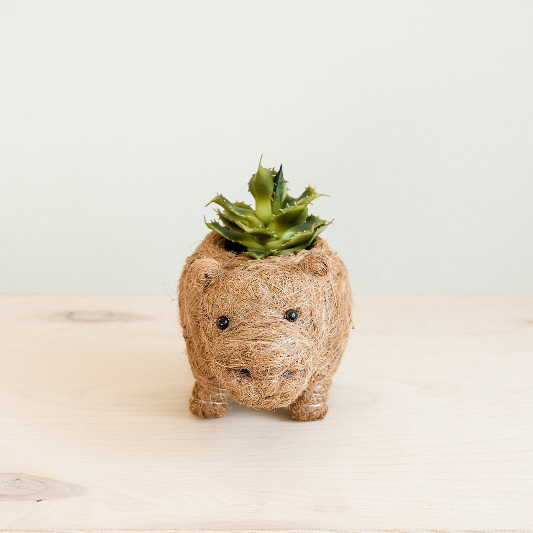 Baby Hippo Plant Pot