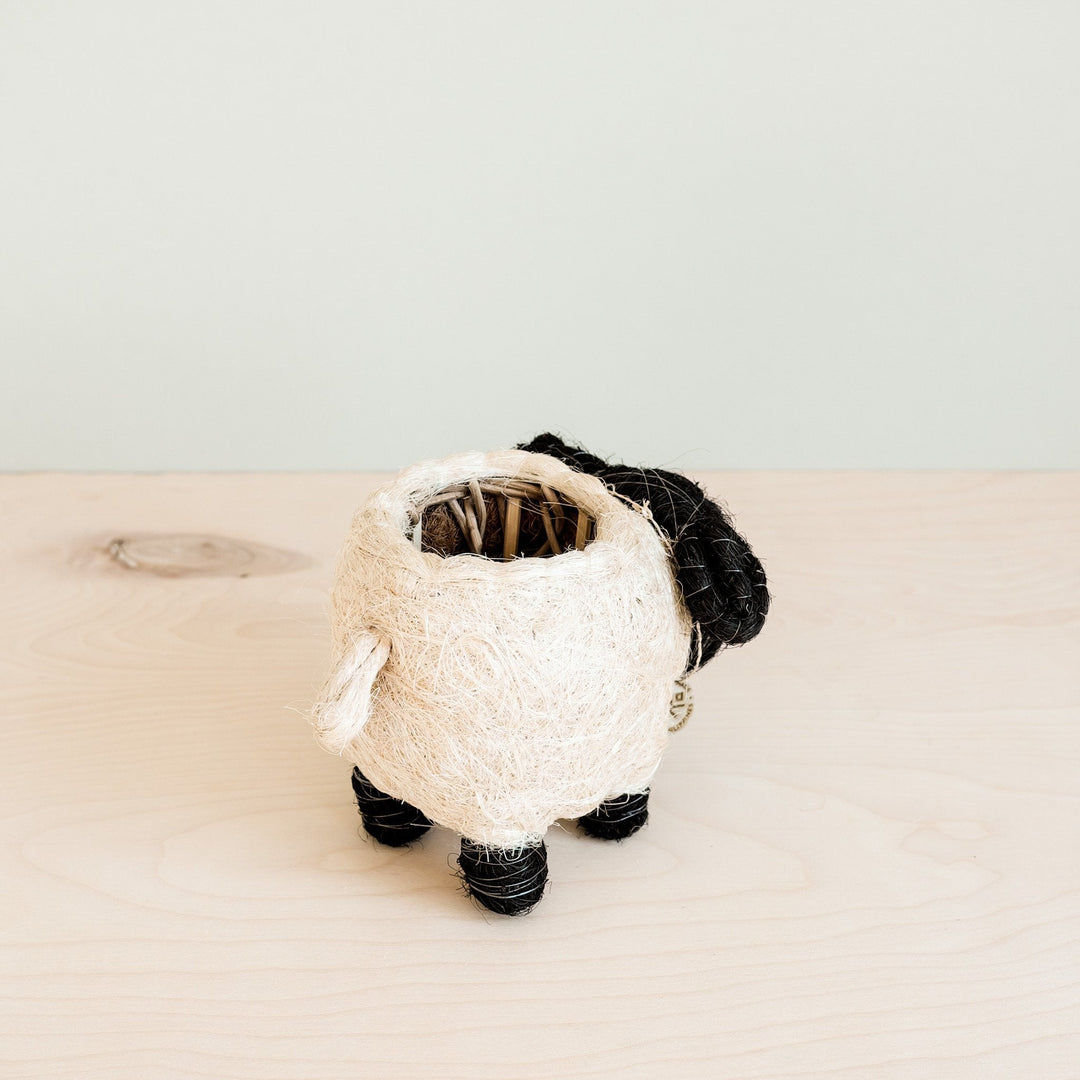 Baby Sheep Planter