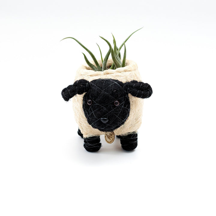 Baby Sheep Planter