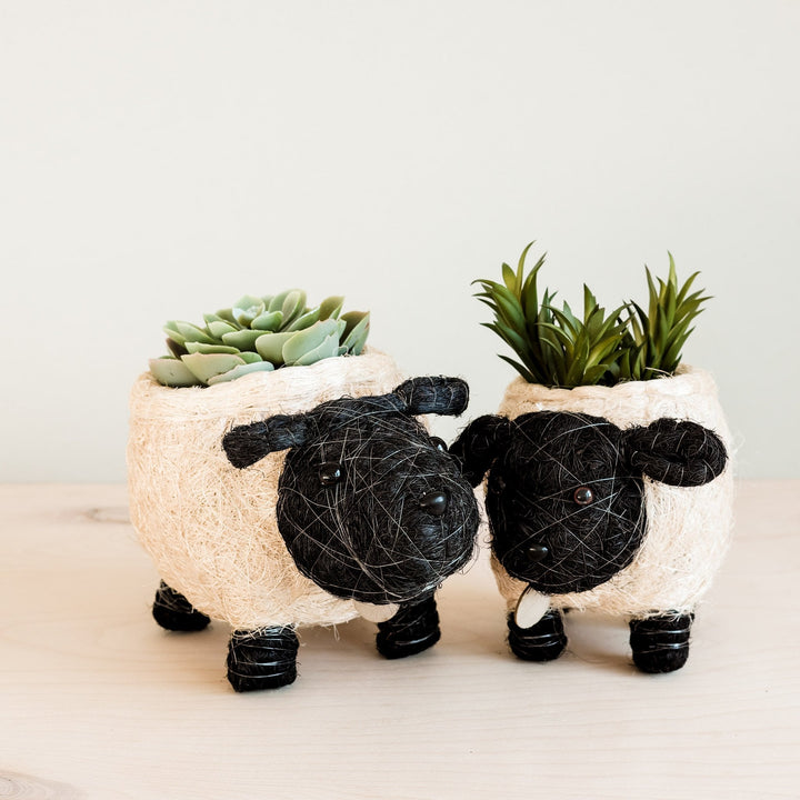 Baby Sheep Planter