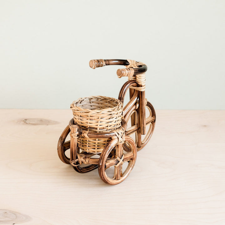 Bicycle Rattan Planter