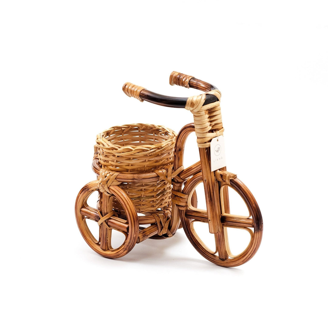 Bicycle Rattan Planter