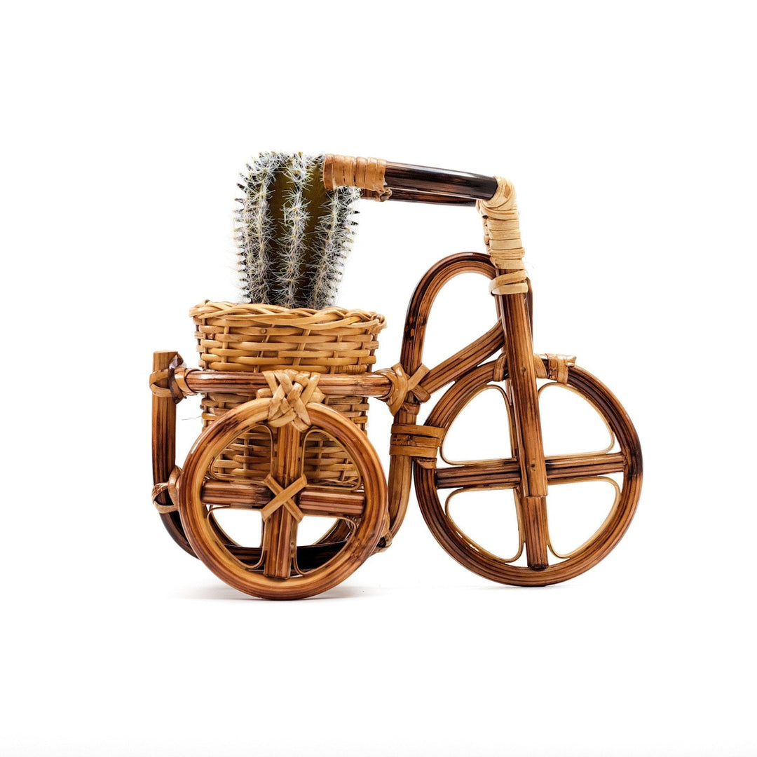 Bicycle Rattan Planter