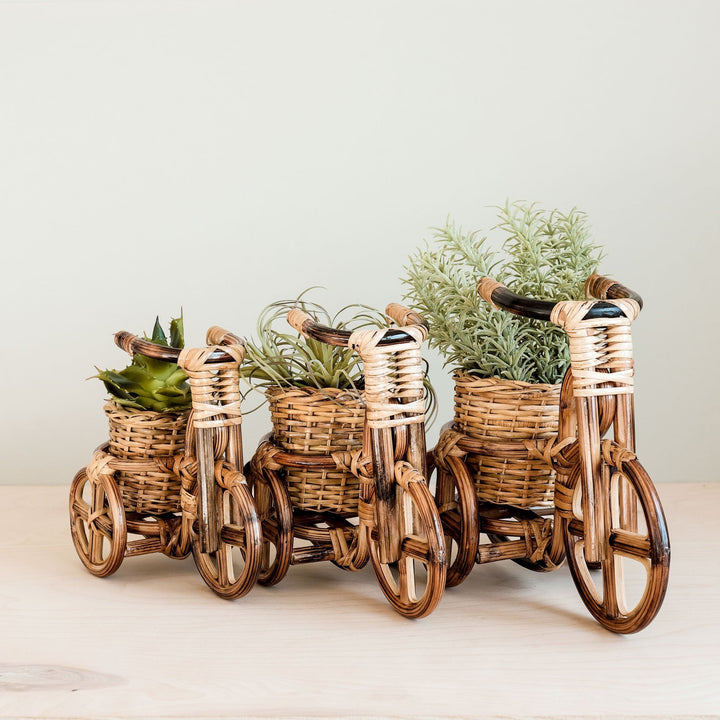 Bicycle Rattan Planter