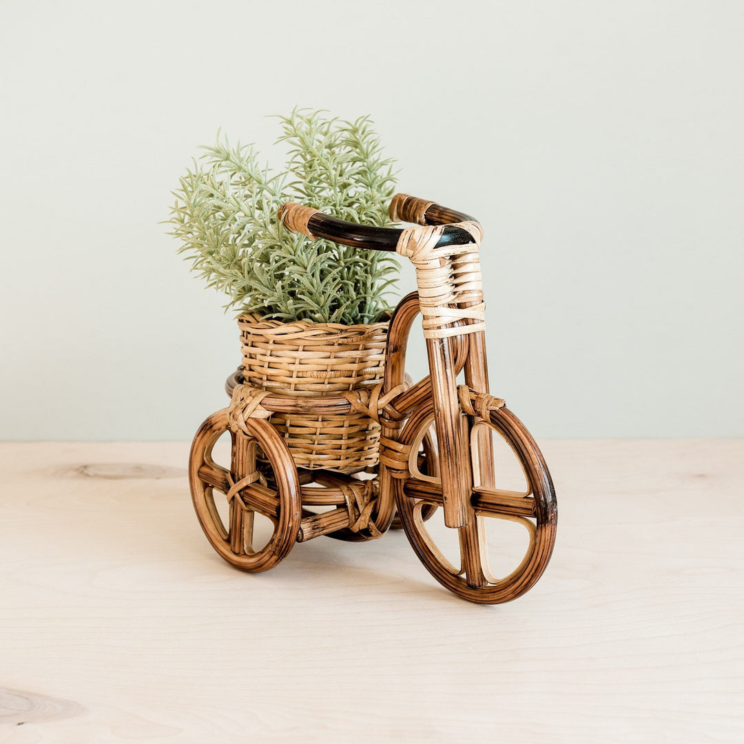 Bicycle Rattan Planter