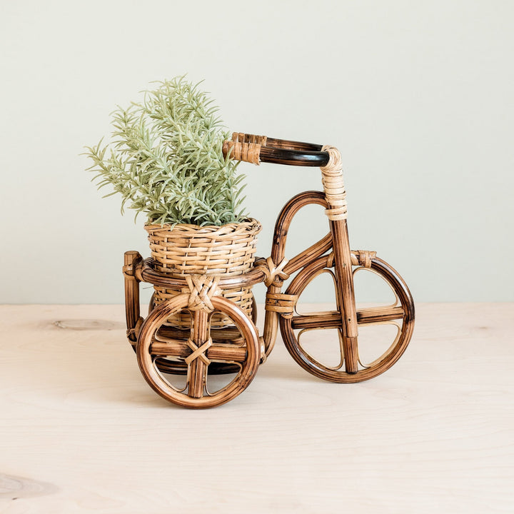 Bicycle Rattan Planter