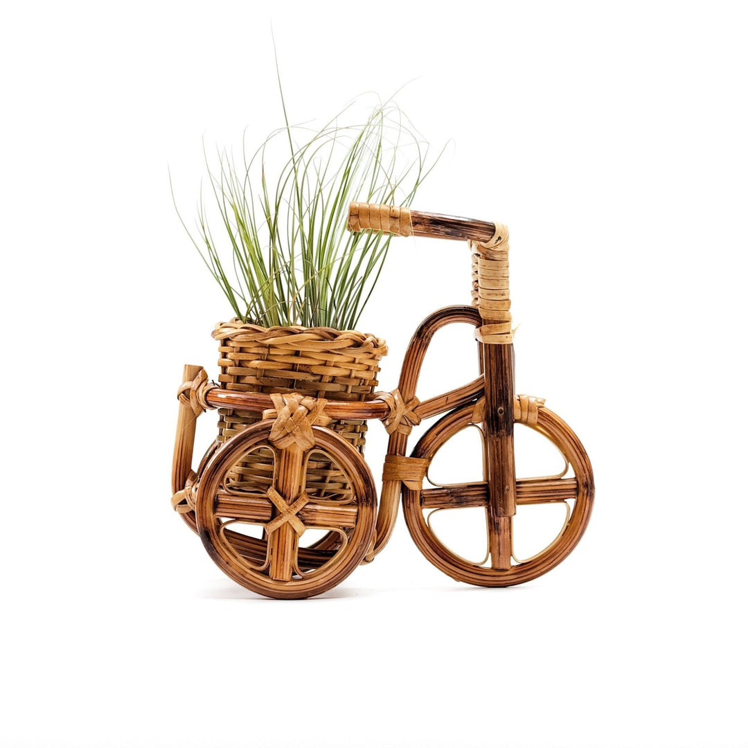 Bicycle Rattan Planter