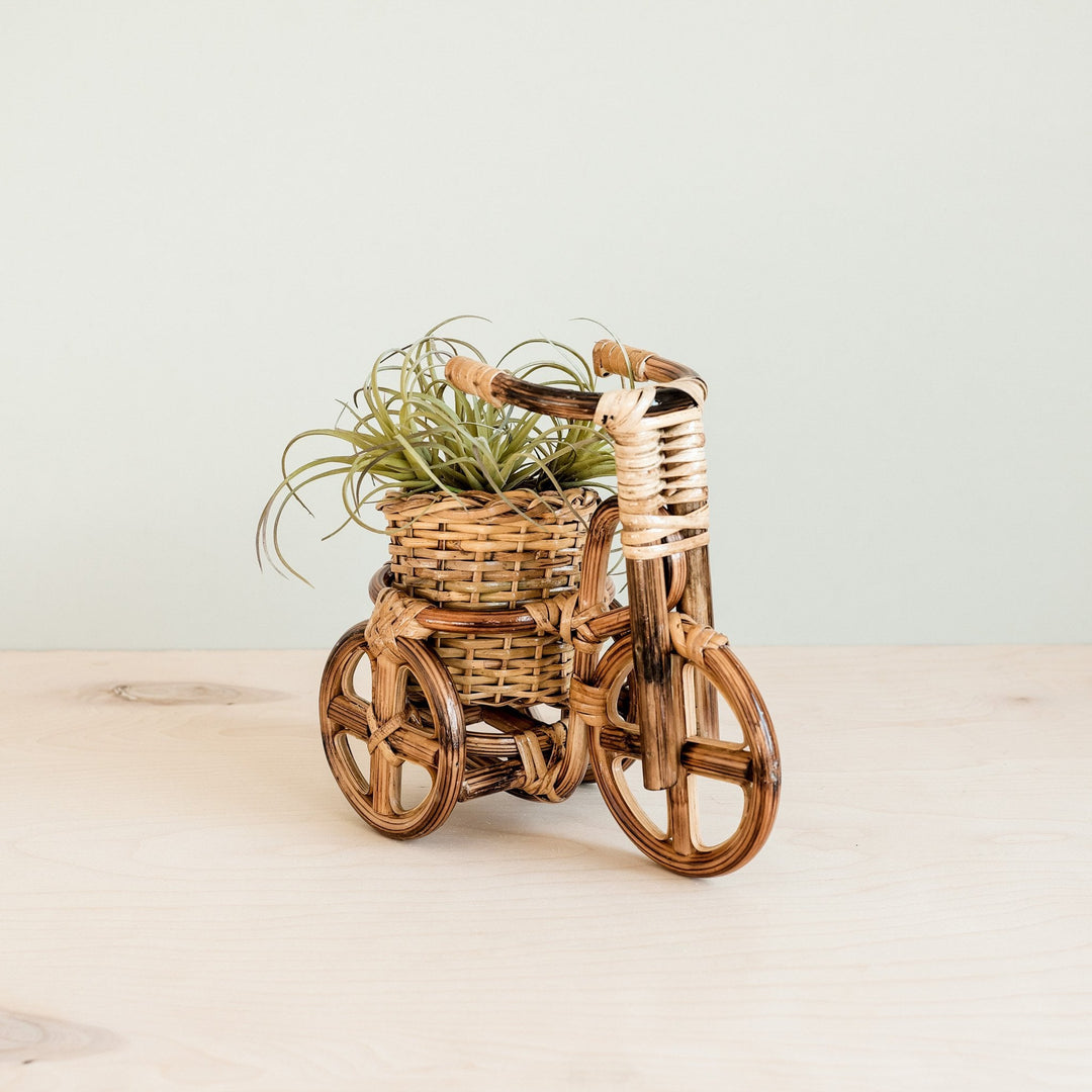 Bicycle Rattan Planter