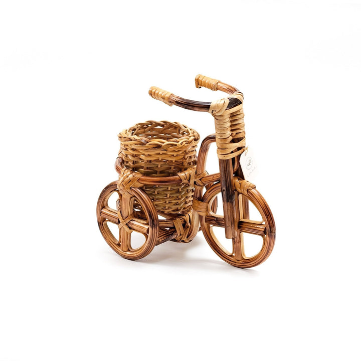 Bicycle Rattan Planter