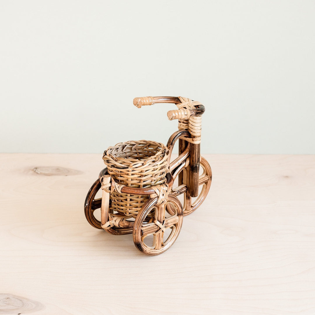 Bicycle Rattan Planter