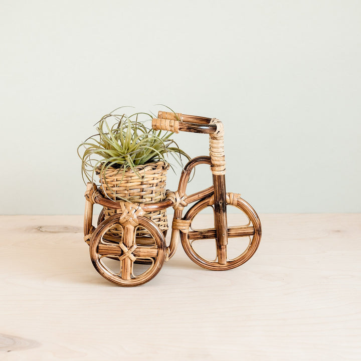 Bicycle Rattan Planter