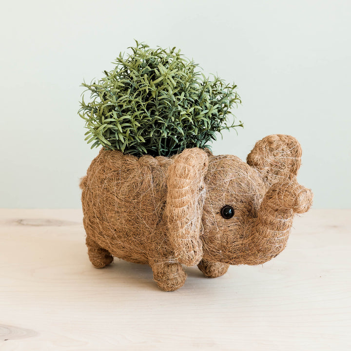 Elephant Plant Pot