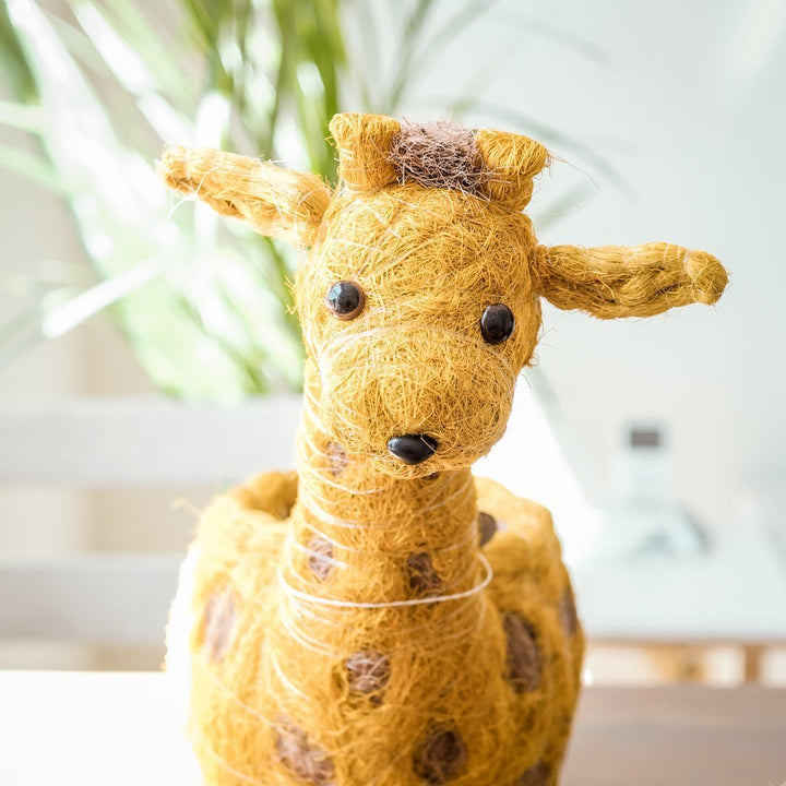 Giraffe Planter