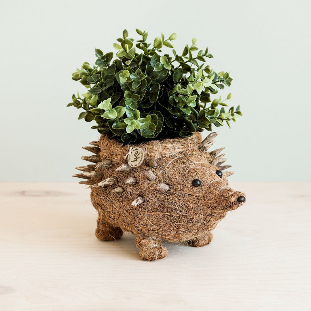 Hedgehog Planter