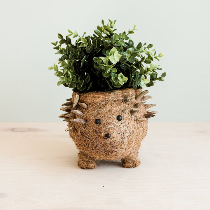 Hedgehog Planter