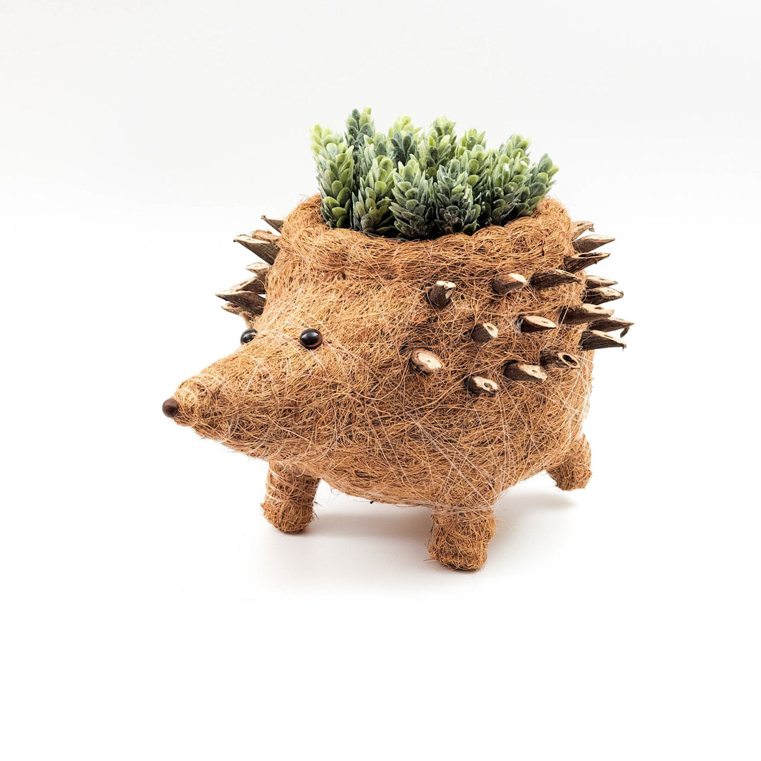 Hedgehog Planter