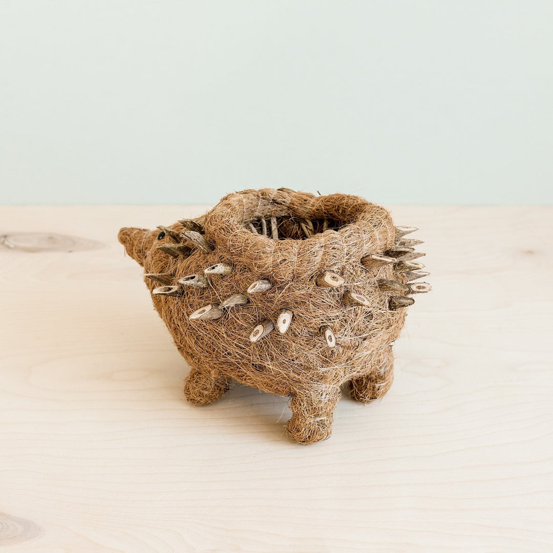 Hedgehog Planter