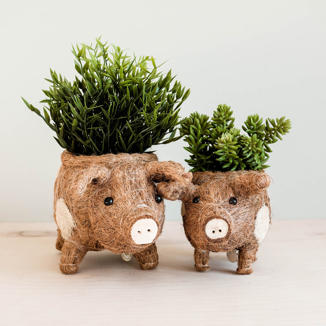 Pig Planter