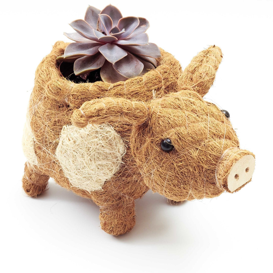 Pig Planter