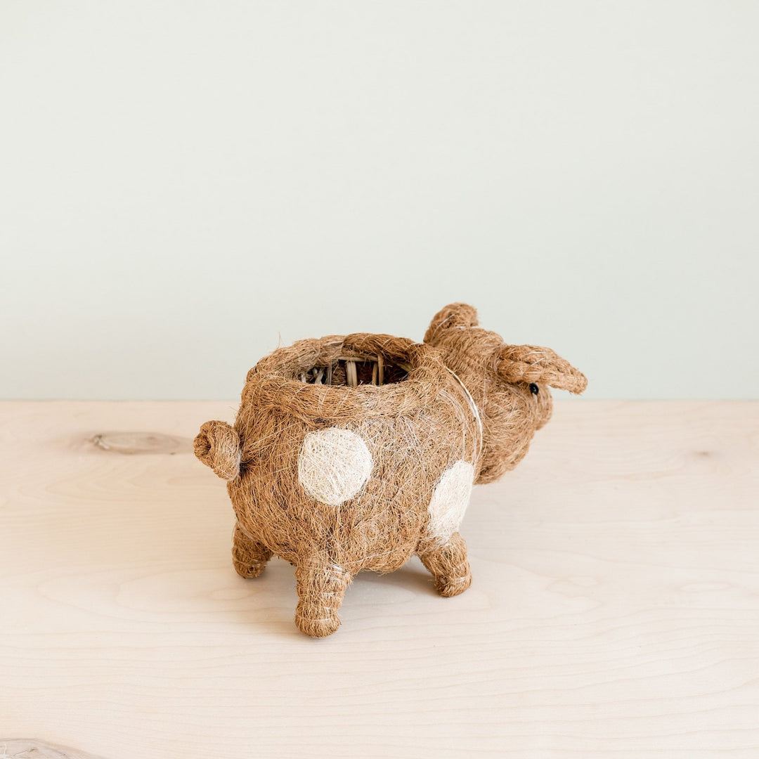 Pig Planter