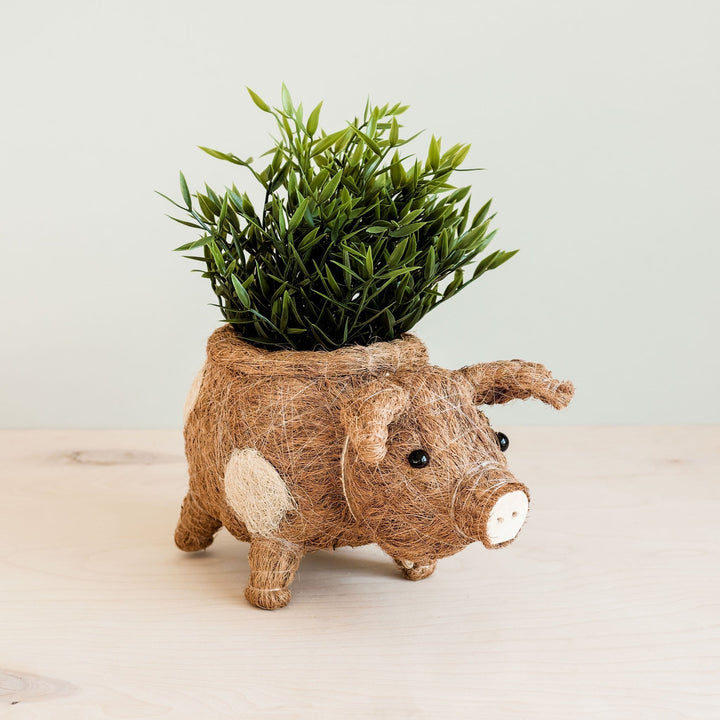 Pig Planter