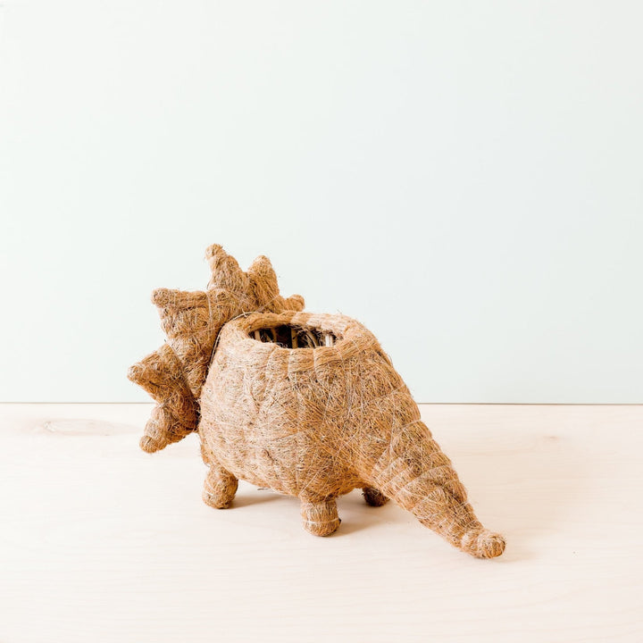 Triceratops Planter