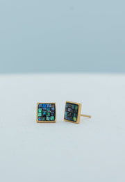 Delighted-in Earrings in Abalone