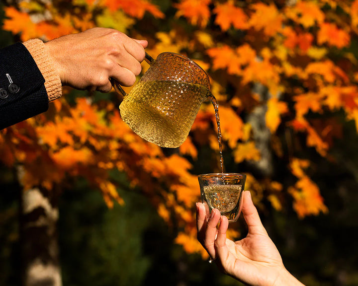 Organic Genmaicha Green Tea - That fights forced labor