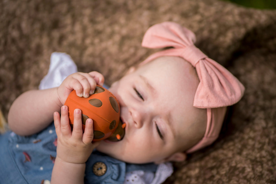 Ladybug Natural Rubber Teether, Rattle & Bath Toy