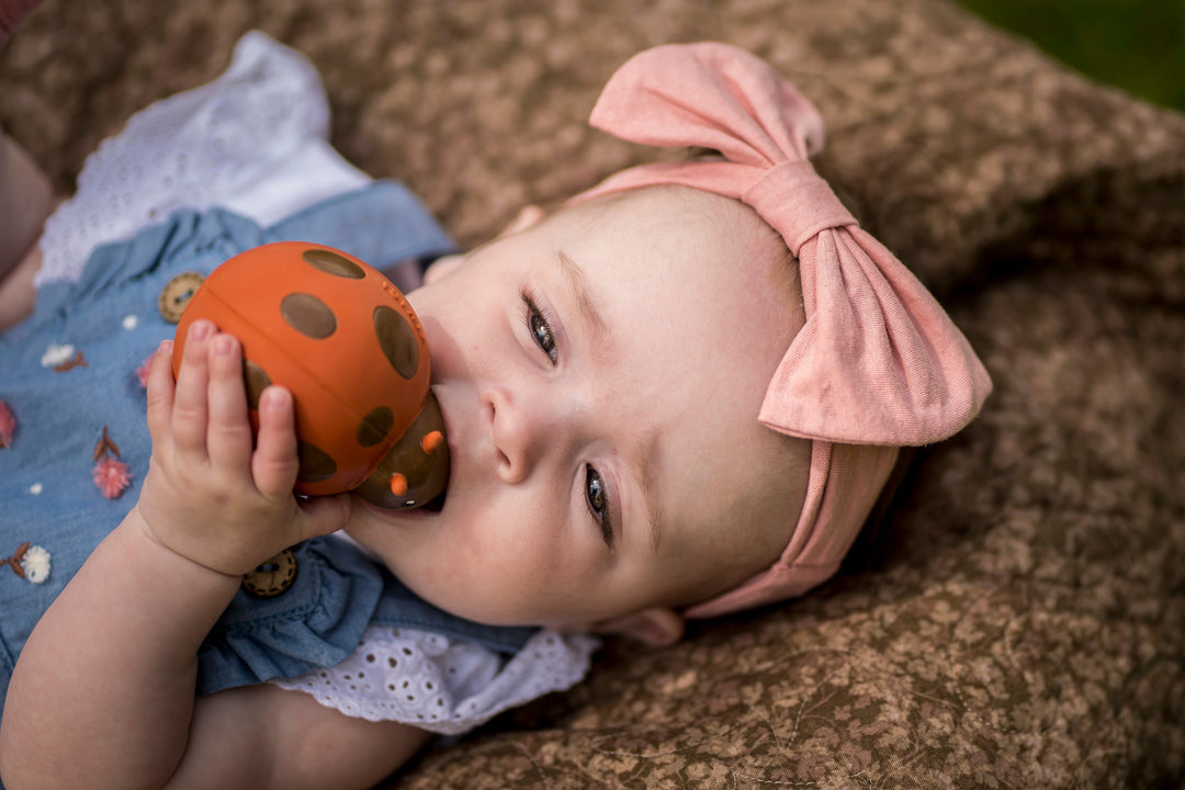 Ladybug Natural Rubber Teether, Rattle & Bath Toy