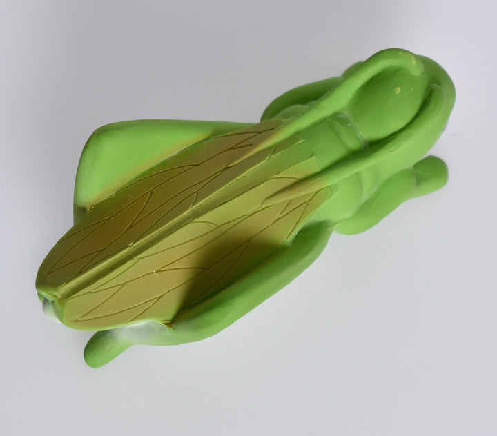 Grasshopper Natural Rubber Teether, Rattle & Bath Toy