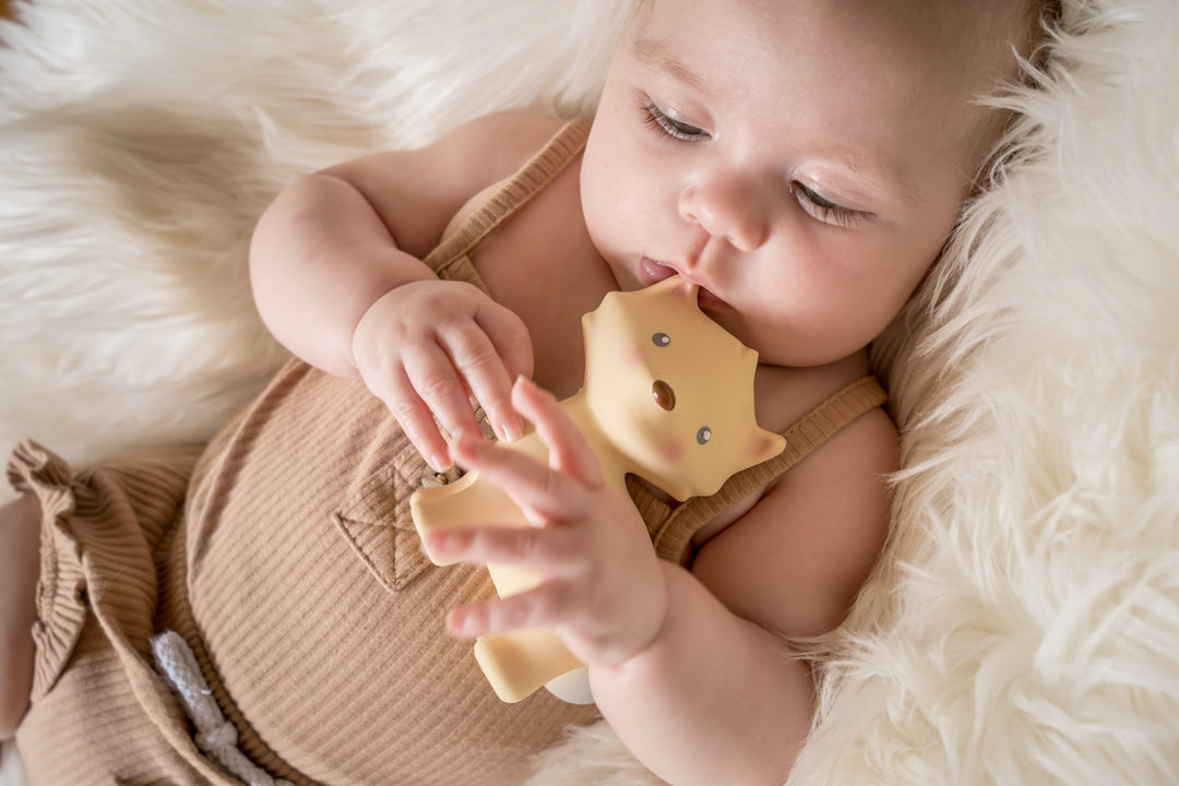 My First Arctic Fox -Organic Natural Rubber Teether, Baby Rattle & Bath Toy